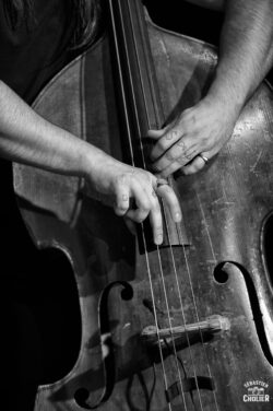Menalua 4tet
, Grenoble, 2026,
crédit photo Sebastien CHOLIER