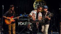 Jeudi 11 juin 2026
Jazz club de Grenoble
concert: Yochestra
Kevin Montiton: guitariste
Guy-Johann Sele: guitariste
Arnaud Baraston: beatmaker